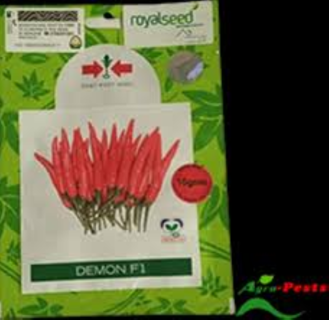 KAMILI ORGANIC PREMIUM DEMON F1 CHILLI POWDER 50G